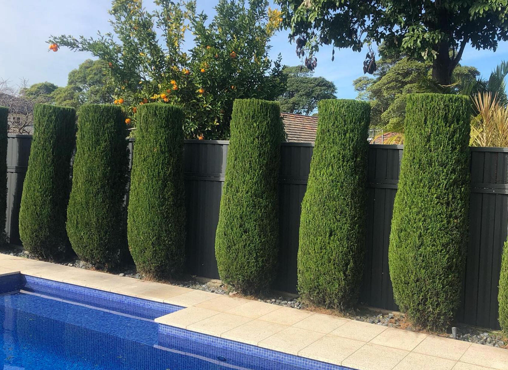 garden_lawn_maitenance